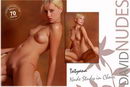 Tatyana in Nude Study in Chair gallery from DAVID-NUDES by David Weisenbarger