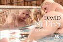 Tatyana in Aqua Mirror part 4 gallery from DAVID-NUDES by David Weisenbarger