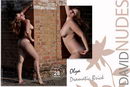 Olya in Dramatic Brick gallery from DAVID-NUDES by David Weisenbarger