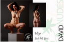 Yuliya in Nude Art Work gallery from DAVID-NUDES by David Weisenbarger