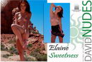 Elaine in Sweetness gallery from DAVID-NUDES by David Weisenbarger
