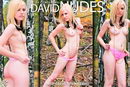Amanda in Fall Yellow Leaves gallery from DAVID-NUDES by David Weisenbarger