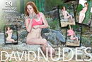 Elena in Cactus Lace - Pack #2 gallery from DAVID-NUDES by David Weisenbarger