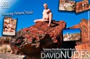 Tatyana in Petrified Forest - Pack #4 gallery from DAVID-NUDES by David Weisenbarger