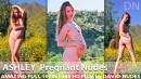 Ashley in Pregnant Nudes video from DAVID-NUDES by David Weisenbarger