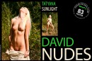 Tatyana in Sunlight gallery from DAVID-NUDES by David Weisenbarger