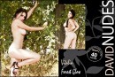 Vitalia Forest Glow gallery from DAVID-NUDES by David Weisenbarger