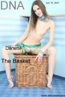 Danette in The Basket gallery from DENUDEART by Lorenzo Renzi
