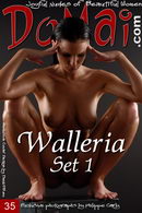 Walleria in Set 1 gallery from DOMAI by Philippe Carly