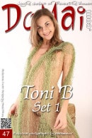 Toni B in Set 1 gallery from DOMAI by Paramonov