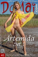 Artemida in Set 1 gallery from DOMAI by Stanislav Borovec