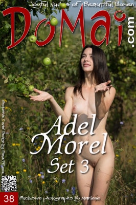 Adel Morel  from DOMAI