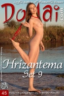 Hrizantema in Set 9 gallery from DOMAI by Stanislav Borovec