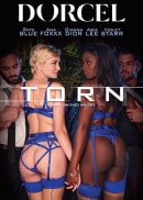 Skye Blue & Ana Foxxx & Gianna Dior & Aria Lee & Violet Starr in Torn video from DORCELVISION