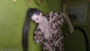 Ivy Rain - Ivy-rain-24-db video from DOWNBLOUSELOVING