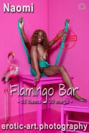 Naomi in Flamingo Bar gallery from EROTIC-ART by JayGee