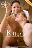 Ela & Yana B in Kittens gallery from EROTICBEAUTY by Jan Kruml