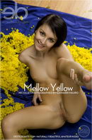 Nicollet in Mellow Yellow gallery from EROTICBEAUTY by Gaimarri Mauro