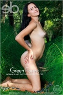 Indiana Blanc in Green Forest gallery from EROTICBEAUTY by Matiss