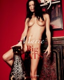 Marie in Big Cats gallery from EROUTIQUE