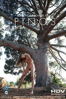 Antea in Pinos video from ERRO-ARCH MOVIES by Erro