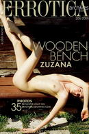 Zuzana in Wooden Bench gallery from ERROTICA-ARCHIVES by Erro