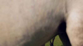 Grace  from FAMEGIRLS