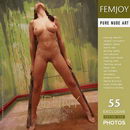 Jenny in Paintwork gallery from FEMJOY by Peter Vlcek