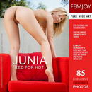 Junia in Red For Hot gallery from FEMJOY by Demian Rossi