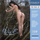 Vic E in Slow Motion gallery from FEMJOY by Valery Anzilov
