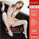 Karo E in Now or Never gallery from FEMJOY by Vaillo