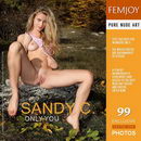 Sandy C in Only you gallery from FEMJOY by Valery Anzilov