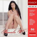 Pamela W in Who Goes First gallery from FEMJOY by MG
