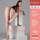Karina L in The Look Of Desire gallery from FEMJOY by Platonoff