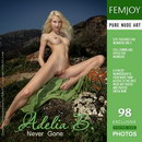 Adelia B in Never Gone gallery from FEMJOY by Valery Anzilov