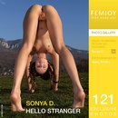 Sonya D in Hello Stranger gallery from FEMJOY by Valery Anzilov