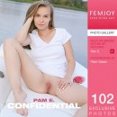 Pam E in Confidential gallery from FEMJOY by Peter Olssen