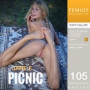 Jane F in Picnic gallery from FEMJOY by Peter Olssen