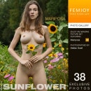 Mariposa in Sunflower gallery from FEMJOY by Stefan Soell