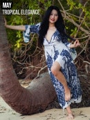 May in Tropical Elegance gallery from FEMJOY by Dave Menich