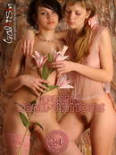Dina & Olea in Spring Temptations gallery from GALITSIN-NEWS by Galitsin
