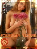 Tania in Forbidden Flower gallery from GALITSIN-NEWS by Galitsin
