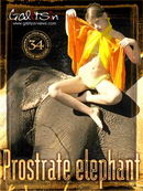 Prostrate Elephant