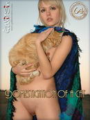 Liza in Domestication Of A Cat gallery from GALITSIN-NEWS by Galitsin