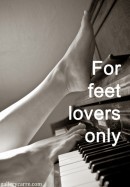For-feet-lovers-only in For Feet Lovers Only gallery from GALLERY-CARRE by Didier Carre