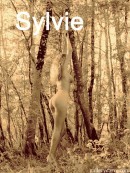 Sylvie in In The Woods gallery from GALLERY-CARRE by Didier Carre