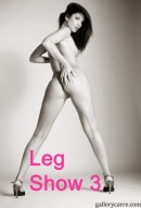 Leg-show-2 in Leg Show gallery from GALLERY-CARRE by Didier Carre