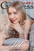 Cherry Blossom in Set  3 gallery from GODDESSNUDES by Tora Ness