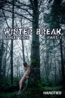 Ashley Lane in Winter Break Part 1 gallery from HARDTIED
