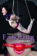 Fawn Locke in Fawning gallery from HARDTIED